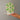 Hand holding a promotional wheel with various offers on a plain background